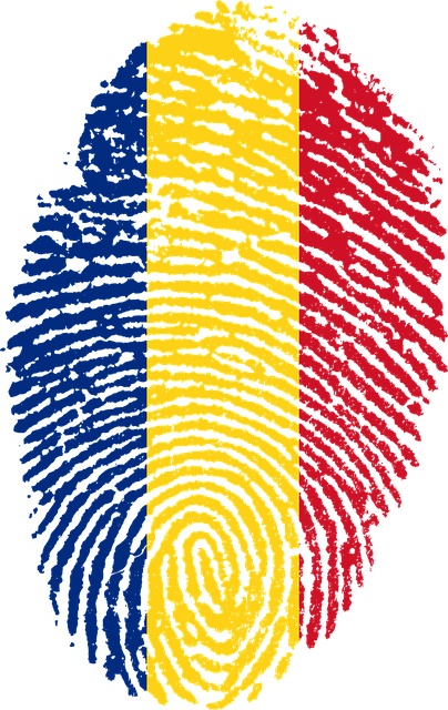 romanian flag